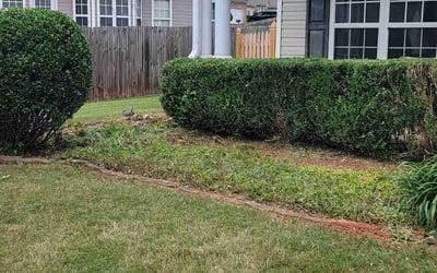 Photo of Gary W.'s yard after getting landscaping in Haralson, GA