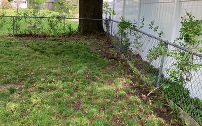 Photo of Jackie T.'s yard after getting landscaping in Marblehead, MA