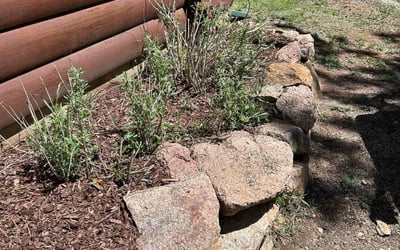 Photo of Brandon L.'s yard after getting landscaping in Lyons, CO