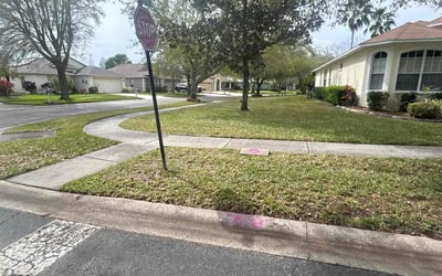 Photo of Tracy S.'s yard after getting landscaping in Aripeka, FL