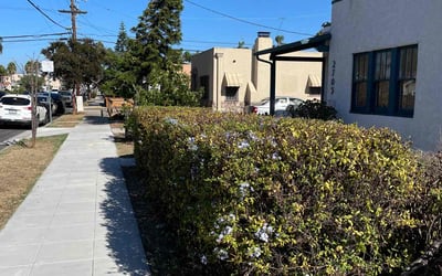 Photo of David M.'s yard after getting landscaping in Solana Beach, CA