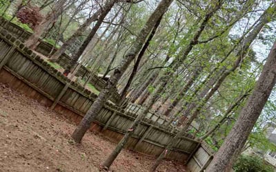 Photo of Justin C.'s yard after getting landscaping in Suwanee, GA