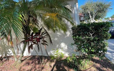 Photo of Juanita T.'s yard after getting landscaping in Scottsmoor, FL