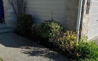 Photo of Gaylon C.'s yard after getting tree care in Cheney, WA