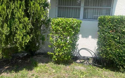 Photo of Michael D.'s yard after getting tree care in West Palm Beach, FL