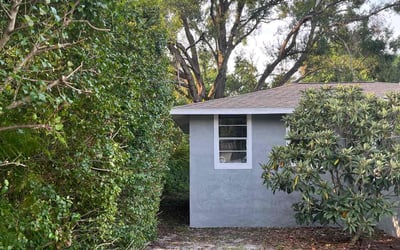 Photo of Joe B.'s yard after getting landscaping in Kathleen, FL
