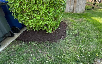 Photo of Matthew R.'s yard after getting landscaping in Great Falls, VA