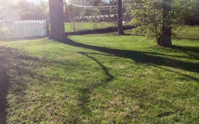 Photo of Victoria A.'s yard after getting tree care in Greenwood, IN