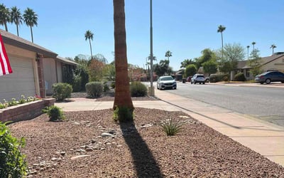 Photo of Robert S.'s yard after getting landscaping in Cave Creek, AZ