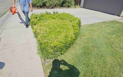 Photo of Jamie S.'s yard after getting landscaping in Parma, ID