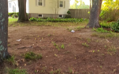 Photo of David G.'s yard after getting landscaping in South Easton, MA