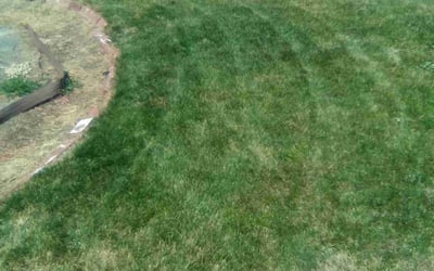 Photo of Mary O.'s yard after getting landscaping in Sun Valley, NV
