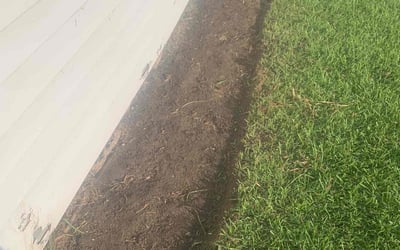 Photo of April M.'s yard after getting tree care in Fresno, TX