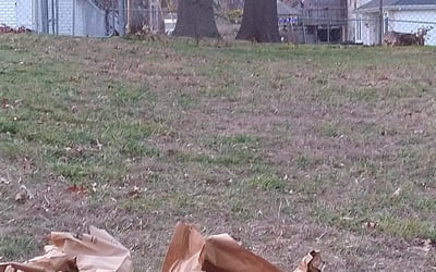 Photo of Christian M.'s yard after getting landscaping in Butler, MO