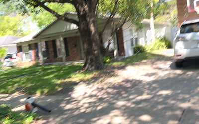 Photo of Carla W.'s yard after getting landscaping in Bay Pines, FL