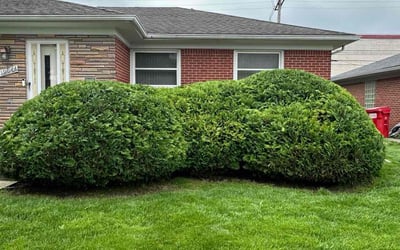 Photo of Shawn F.'s yard after getting landscaping in Eastpointe, MI
