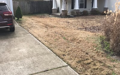 Photo of Mike M.'s yard after getting landscaping in White Bluff, TN