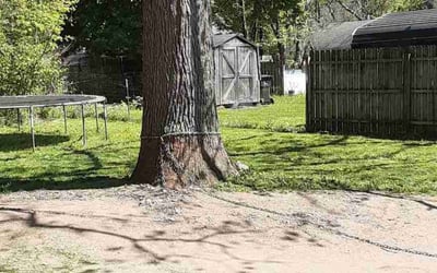 Photo of Valerie L.'s yard after getting landscaping in Kalamazoo, MI
