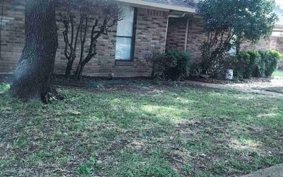 Photo of Debra H.'s yard after getting landscaping in Dallas, TX