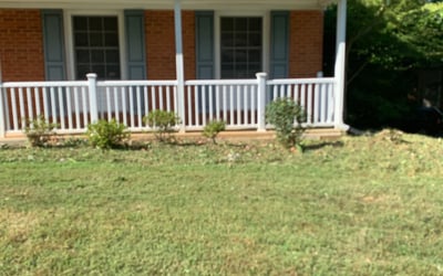 Photo of R. F.'s yard after getting tree care in Culpeper, VA