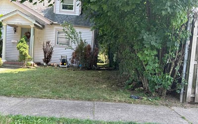 Photo of Richard M.'s yard after getting landscaping in Wallkill, NY