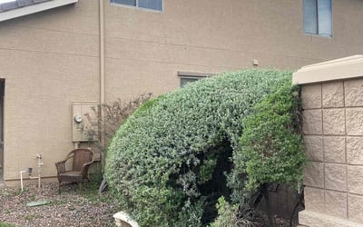 Photo of Valerie L.'s yard after getting landscaping in Surprise, AZ