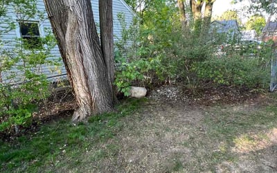 Photo of Steven K.'s yard after getting landscaping in Utica, MI