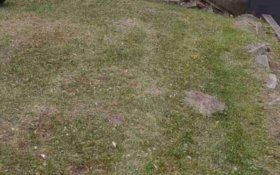 Photo of Eugene A.'s yard after getting landscaping in Johnston, IA