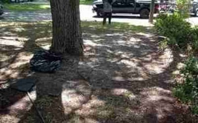 Photo of Chelsey J.'s yard after getting landscaping in Mango, FL