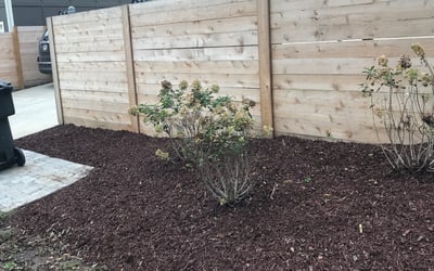 Photo of Adam B.'s yard after getting landscaping in Hartsville, TN