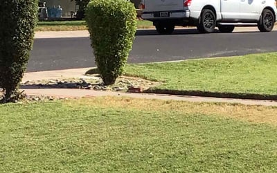 Photo of Jessica M.'s yard after getting landscaping in Laveen, AZ