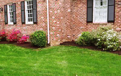 Photo of Brian M.'s yard after getting landscaping in Mannboro, VA