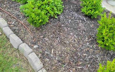 Photo of Richard H.'s yard after getting landscaping in Crandall, TX