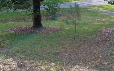 Photo of Jason M.'s yard after getting landscaping in New Hill, NC