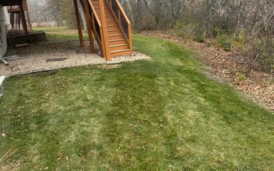 Photo of Jennifer F.'s yard after getting landscaping in Northfield, MN