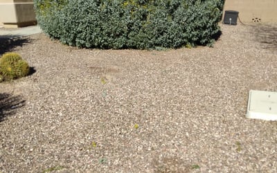 Photo of Eric M.'s yard after getting landscaping in Fort Mcdowell, AZ