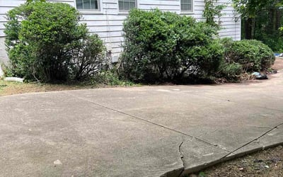 Photo of Jonathan R.'s yard after getting tree care in Conyers, GA