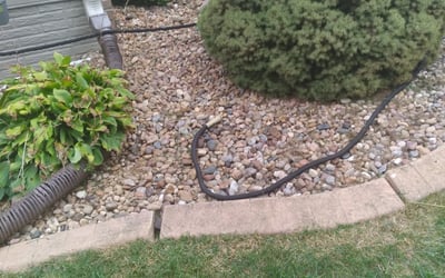 Photo of Jennifer W.'s yard after getting landscaping in Johnston, IA