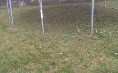 Photo of Donna M.'s yard after getting landscaping in Shawnee, OH