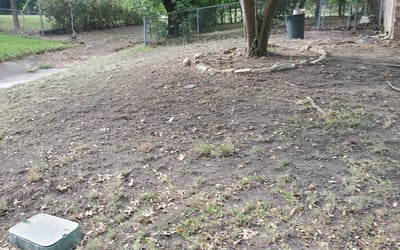 Photo of Dawn G.'s yard after getting tree care in Spring Branch, TX