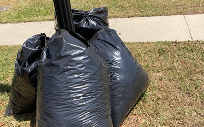 Photo of Jack F.'s yard after getting tree care in Orlando, FL