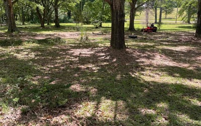 Photo of Jeff M.'s yard after getting landscaping in Canton, MS