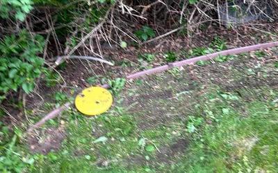 Photo of Sharon H.'s yard after getting tree care in Pueblo, CO