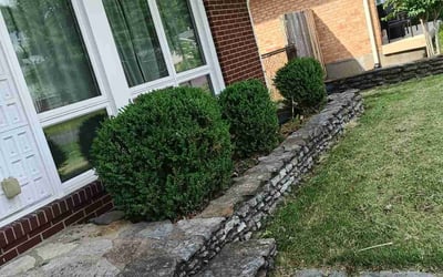 Photo of Charles O.'s yard after getting tree care in New Albany, IN