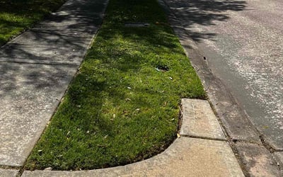 Photo of Jordan W.'s yard after getting landscaping in Pearland, TX