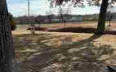 Photo of Andrew M.'s yard after getting landscaping in Cape May, NJ