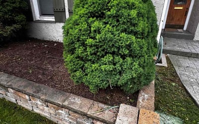 Photo of Sarah G.'s yard after getting landscaping in Salt Lake City, UT