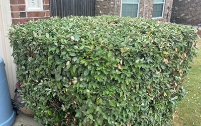 Photo of Rashad G.'s yard after getting landscaping in Poolville, TX