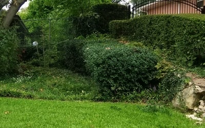 Photo of Quinton C.'s yard after getting landscaping in Peaster, TX