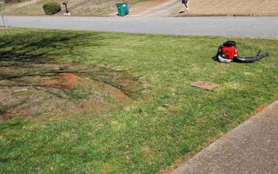 Photo of Stephen P.'s yard after getting landscaping in Milner, GA